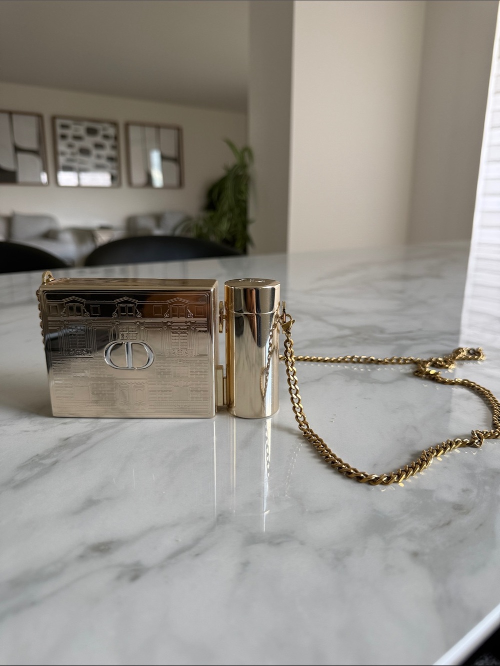 Dior Minaudiere Limited Edition Clutch